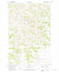 Petes Creek 1974 topographic map thumbnail