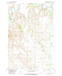 Spring Creek 1980 topographic map thumbnail