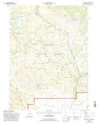 Adin Pass 1993 topographic map thumbnail