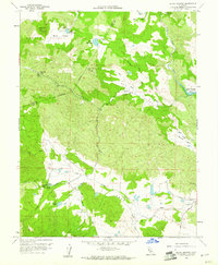 Aetna Springs 1958 topographic map thumbnail