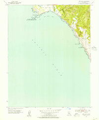 Ano Nuevo 1955 topographic map thumbnail