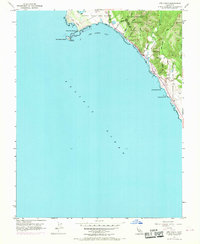 Ano Nuevo 1955 topographic map thumbnail