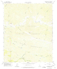 Bald Mountain 1964 topographic map thumbnail
