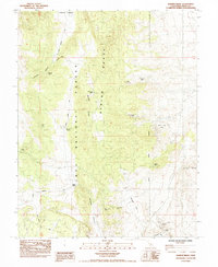 Banner Ridge 1984 topographic map thumbnail