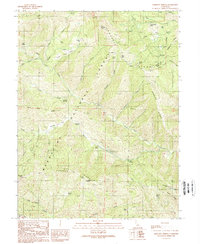 Bartlett Springs 1989 topographic map thumbnail