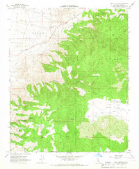 Bear Mountain 1966 topographic map thumbnail