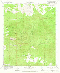 Beauty Mountain 1960 topographic map thumbnail