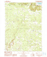 Beaver Mountain 1990 topographic map thumbnail