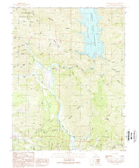 Benmore Canyon 1989 topographic map thumbnail
