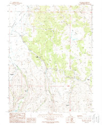 Big Alkali 1989 topographic map thumbnail