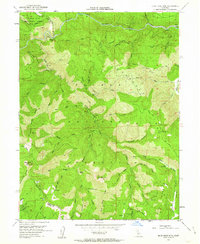 Blue Nose Mtn 1951 topographic map thumbnail