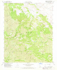 Branch Mtn topographic map thumbnail