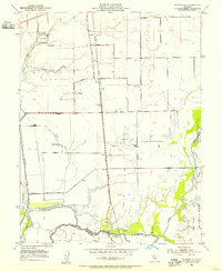 Bruceville 1953 topographic map thumbnail