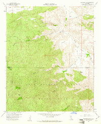 Bucksnort Mtn topographic map thumbnail