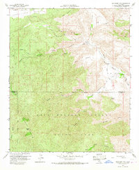 Bucksnort Mtn 1960 topographic map thumbnail