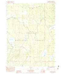 Bullard Lake 1983 topographic map thumbnail