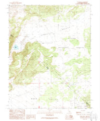 Cedar Hill 1989 topographic map thumbnail