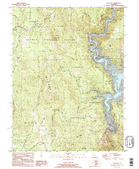 Challenge 1995 topographic map thumbnail