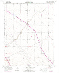 Chaney Ranch 1955 topographic map thumbnail