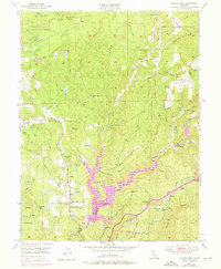 Chicago Park 1949 topographic map thumbnail