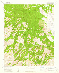 Cholame Hills 1961 topographic map thumbnail