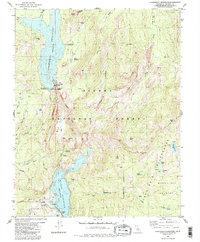 Courtright Reservoir 1982 topographic map thumbnail
