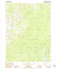 Covington Mill 1982 topographic map thumbnail
