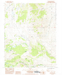 Coyote Flat 1984 topographic map thumbnail