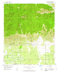 Cucamonga Peak 1953 topographic map thumbnail