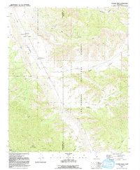 Cuyama Peak 1991 topographic map thumbnail