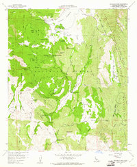 Cuyamaca Peak 1960 topographic map thumbnail