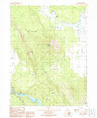 Dana 1990 topographic map thumbnail