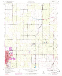Delano East 1953 topographic map thumbnail