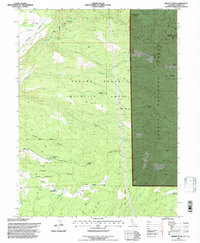 Dewitt Peak 1995 topographic map thumbnail