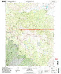 Diamond Mountain 1994 topographic map thumbnail
