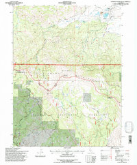 Diamond Mountain 1994 topographic map thumbnail