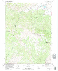 Diamond Mtn 1972 topographic map thumbnail