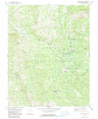 Dinkey Creek 1982 topographic map thumbnail