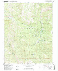 Dinkey Creek 1982 topographic map thumbnail