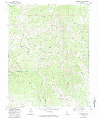 Disaster Peak 1979 topographic map thumbnail