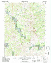 Dixie Mountain 1994 topographic map thumbnail