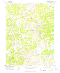 Dixie Mountain 1972 topographic map thumbnail