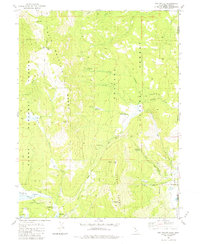 Dog Valley 1981 topographic map thumbnail