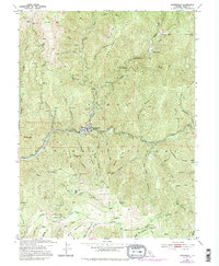 Downieville 1951 topographic map thumbnail