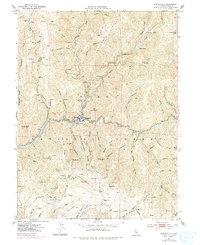 Downieville 1951 topographic map thumbnail