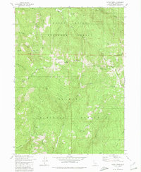 Dutch Creek 1980 topographic map thumbnail