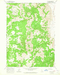 Eagle Peak 1963 topographic map thumbnail