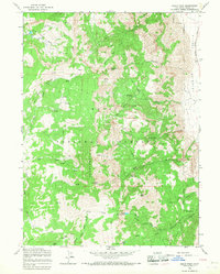 Eagle Peak 1963 topographic map thumbnail