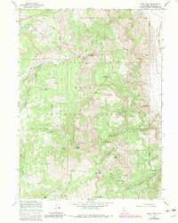Eagle Peak 1963 topographic map thumbnail