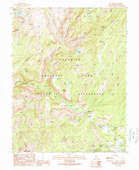 Falls Ridge 1990 topographic map thumbnail